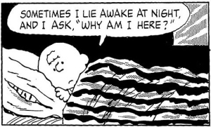 Charlie Brown: Why am I here?